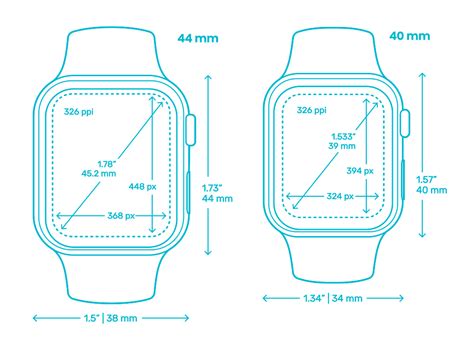 What are the dimensions of the Apple Watc 